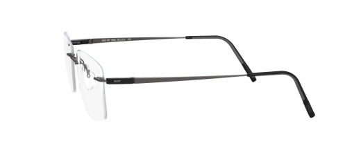 5502 6560  Silhouette