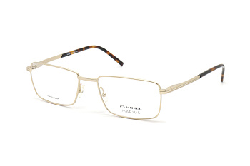 50093 S DD 15 M.Morel